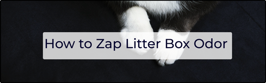 How to Zap Litter Box Odors