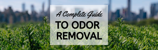A Complete Guide to Odor Removal