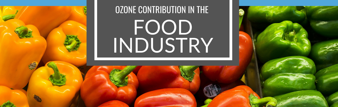 Ozone Contribution in the Food Industry